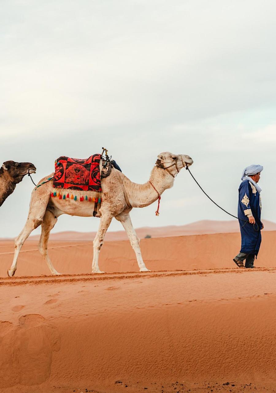 Expedition Luxury Camp 5* Merzouga