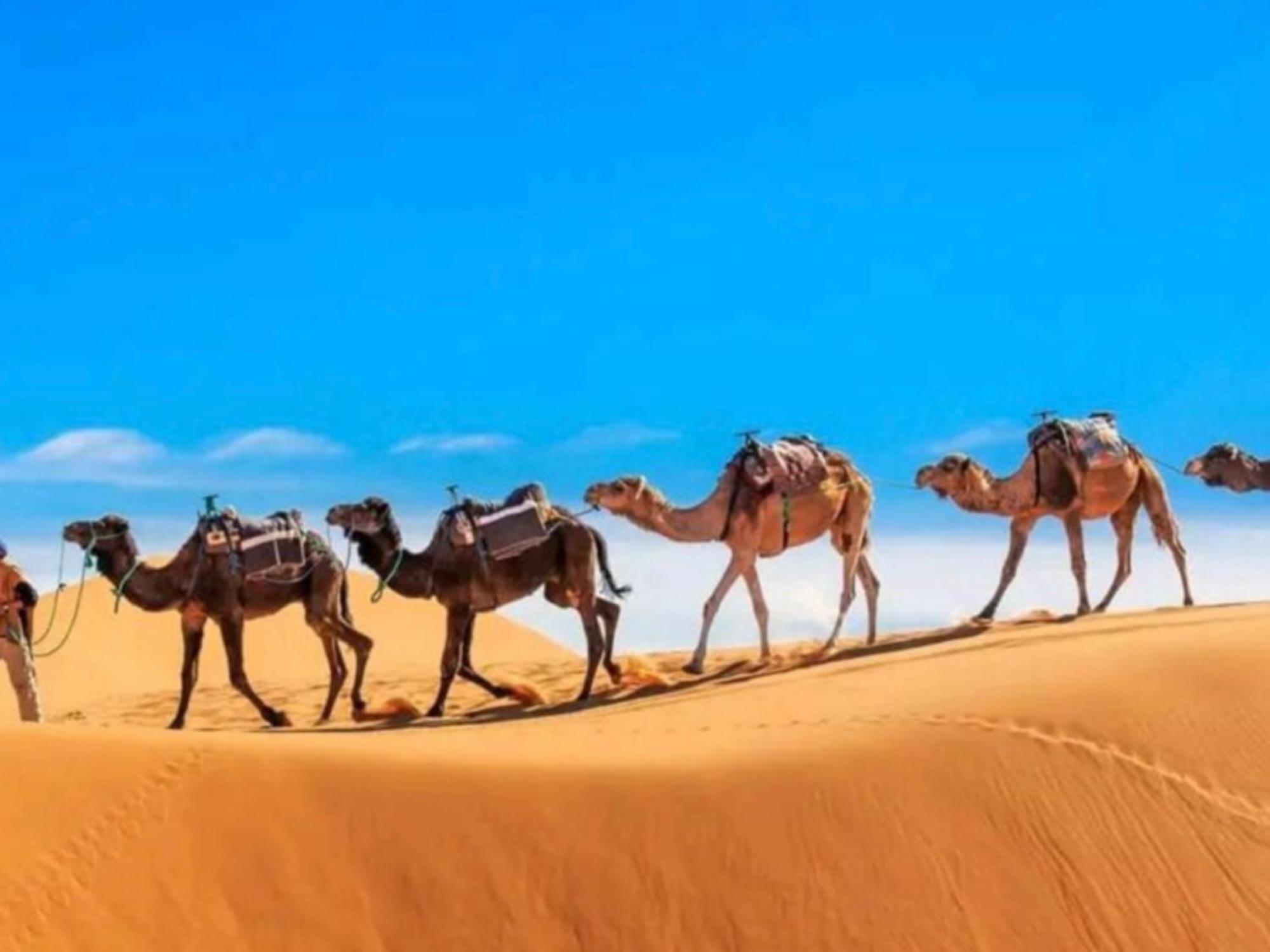 Luxury tent Expedition Luxury Camp Merzouga
